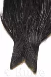 Whiting Bronze Grade Cape black - Niskat - 616044035634 - 1