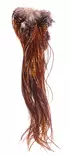 Whiting Half Saddle Bronze Grade barred dark ginger - Satulat - 616044089484 - 1