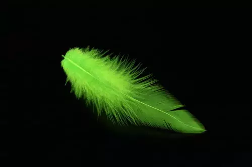 FutureFly Soft Hackle Chartreuse - Övriga fjädrar och hackel - 3956826193174 - 1