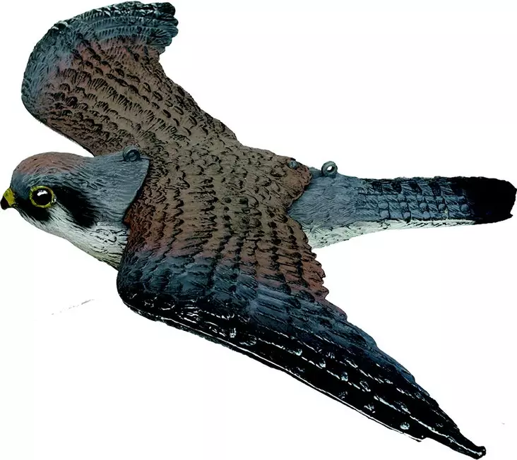 SportPlast Lentävä haukka - Houkutuskuvat - 45454561236164 - 1