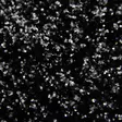 Bright Baits Glitter 40ml 1mm black - Lakka- ja plastisolihileet - 3954685416045 - 1