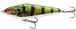Daiwa Prorex Lazy Jerk 175SS Live Perch - Jerkit - 4059845092325 - 1