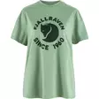 Fjällräven Relaxed T-Shirt W L Misty Green - T-Paidat - 7323451088155 - 1