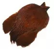 FutureFly Rooster Cape Brown Badger - Nackar - 5712462014765 - 1