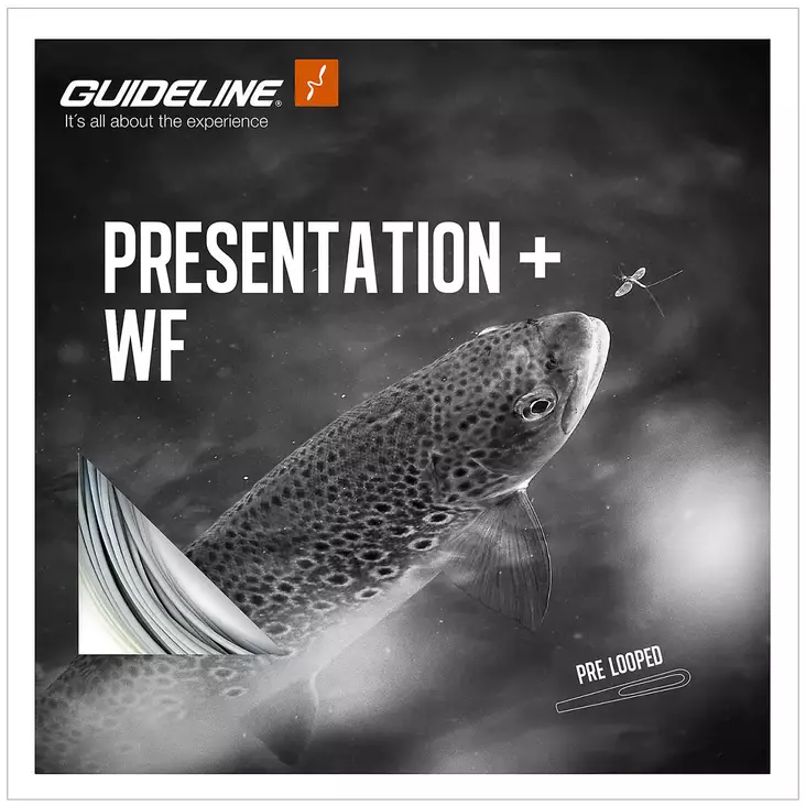 Guideline Presentation+ WF4 Float - Guideline yhdenkädensiimat - 7033841071895 - 1