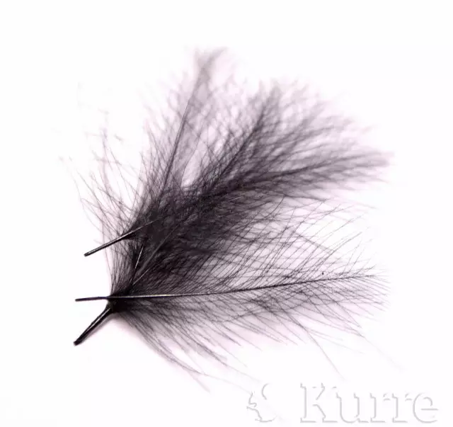 Wapsi CDC super select black - CDC, Coq the Leon - 053526394085 - 1