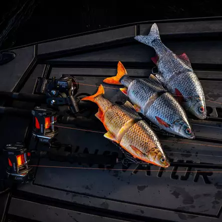 Ricky The Roach Inline 25cm 210g S Real Roach - Haukijigit - 5707549512746 - 2