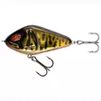 Daiwa Lazy Jerk Distance 110SS 11cm 67g Golden Burbot - Jerkit - 4059845160246 - 1