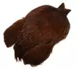 FutureFly Rooster Cape Nature Brown - Nackar - 5712462011856 - 1