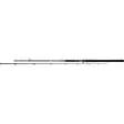 Mikado Bixlite Pike Master 240cm 30-105g - Other Brands - 5900637072126 - 1