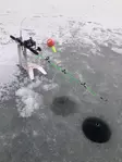 OFC Hold My Rod Ice-Edition Ismete Vapateline - Siimat, koukut ja tarvikkeet - 3969156361546 - 2