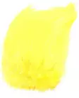 Wapsi Neck hackle strung yellow - Niskat - 053526009026 - 1