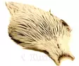 Whiting american rooster cape silver badger - Niskat - 616044002216 - 1