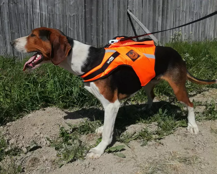 Kardog Jehu kelluttava Gps-huomioliivi XL - Koiraliivit - 3971783791386 - 1