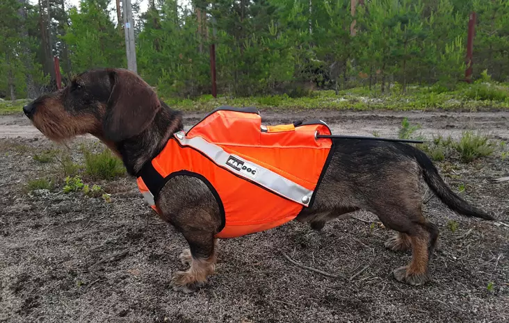 Kardog Sulo GPS-huomioliivi Mäyräkoira 4 - Koiraliivit - 6430067783006 - 1