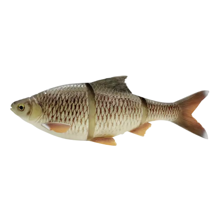 Savage Gear 4D Line Thru Roach 32cm 420g Slow Sink Bream - Gäddjiggar - 5706301015686 - 1