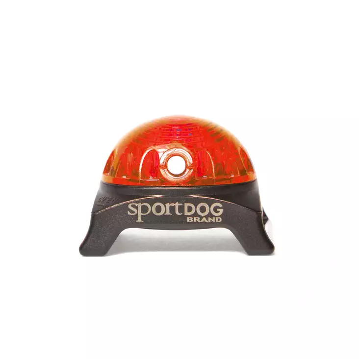 SportDOG Vilkkuvalo Punainen - Hundtillbehör - 729849143036 - 1