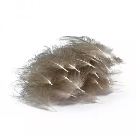 Fasna CDC Feathers 1g Natural Gray - CDC, Coq the Leon - 8720959505587 - 1