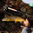 Guideline Embrace Nymph Kit 10'6" #3 - Perhokalastussetit - 7033841110457 - 9