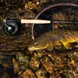 Guideline Embrace Nymph Kit 10'6" #3 - Perhokalastussetit - 7033841110457 - 8