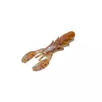 NATC King Craw Junior 8-pack UV Sparkle Bug - Jigit ja jigipäät - 7340031026277 - 1