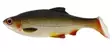 Westin Ricky The Roach SL/ST 14cm 42g Lively Roach - Gäddjiggar - 5707549434147 - 1