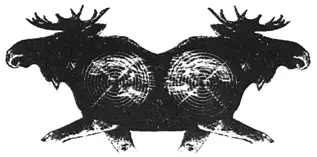 Hirvitaulu ik 2-päinen 100kpl - Ampumataulut ja paikkatarrat - 6410362404707 - 1