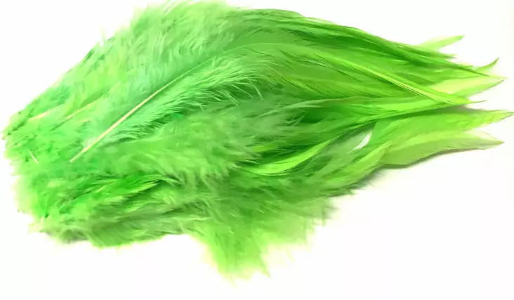 Silvergrey schlappen chartreuse - Schlappen - 6417512030427 - 1