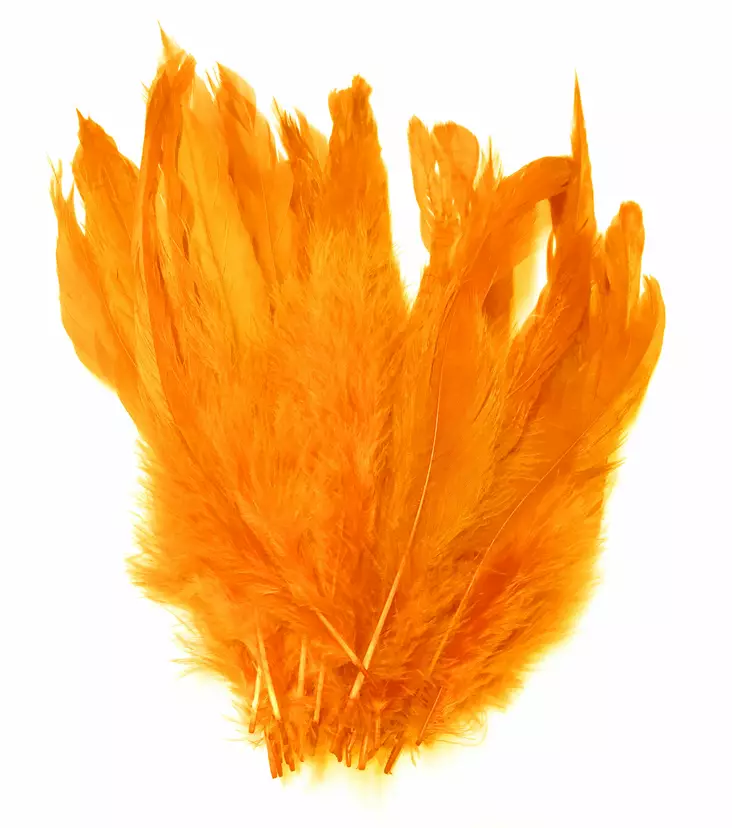 Silvergrey Schlappen Long- Sunburst Yellow 18-20 cm - Schlappen - 3967435649587 - 1