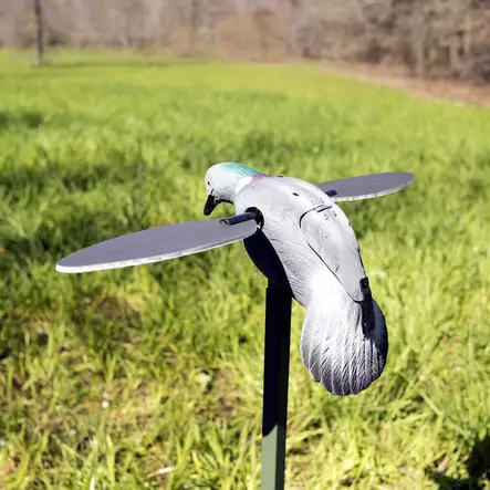 Mojo Pigeon Robokyyhky - Houkutuskuvat - 816740002828 - 2