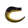 SZ Rattling Giant BigTail 2-pack C33 Reversed Black/Gold - Hybriidit - 7340031027038 - 1