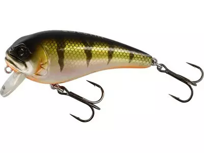 Westin FatBite 5,5cm 8g Floating Bling Perch - Vaaput - 5707549422588 - 1