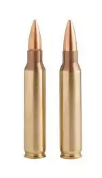 GGG-Nato .223 Rem 55g 3,6g FMJ 50st - Kaliber .223 Rem - 4779032300209 - 1