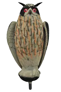 Live Owl Huuhkajan Kuva - Houkutuskuvat - 3963054844969 - 1