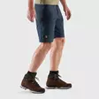 Abisko Midsummer Shorts M 48 Fossil-Suede Brown - Ulkoilushortsit - 7323451025129 - 4