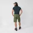 Barents Shorts Olive 46 - Ulkoilushortsit - 7323450785079 - 7