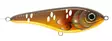 Buster Jerk Shallow Runner C608/Brown Carp - Jerkbeten - 4712631702029 - 1