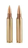GGG-Nato .223 Rem 55g 3,6g FMJ 50st - Kaliber .223 Rem - 4779032300209 - 1