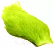 Whiting american rooster cape chartreuse - Niskat - 616044053959 - 1