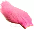 Whiting american rooster cape shell pink - Niskat - 616044027929 - 1