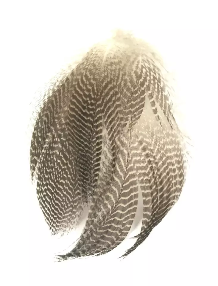 Wapsi Gadwall Harmaasorsa - Sorsa - 053526035049 - 1