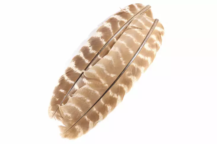 Wapsi Ozark turkey quil hares ear - Strutsi, kalkkuna - 053526062069 - 1